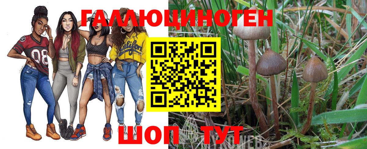 Псилоцибиновые грибы MAGIC MUSHROOMS Иваново