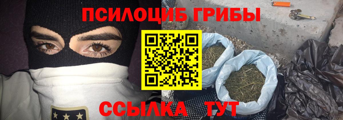 Галлюциногенные грибы Psilocybine cubensis  Вход с VPN  Иваново 